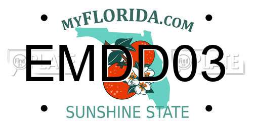 EMDD03 Florida License Plate