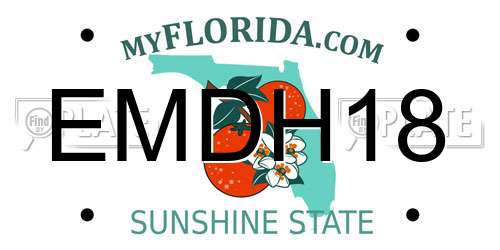EMDH18 Florida License Plate