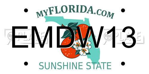 EMDW13 Florida License Plate