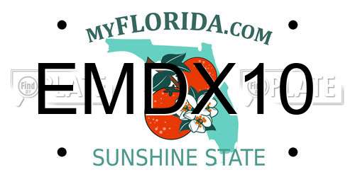 EMDX10 Florida License Plate