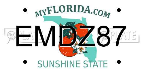 EMDZ87 Florida License Plate