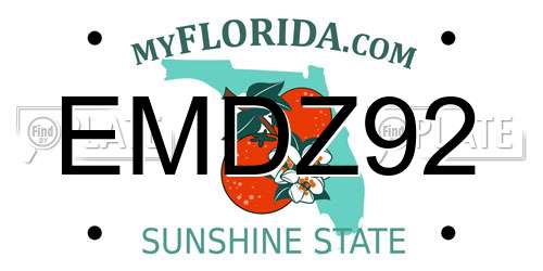 EMDZ92 Florida License Plate