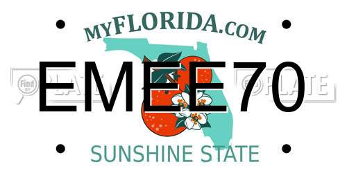 EMEE70 Florida License Plate