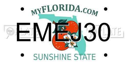 EMEJ30 Florida License Plate
