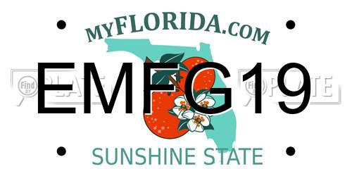 EMFG19 Florida License Plate