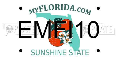 EMFI10 Florida License Plate