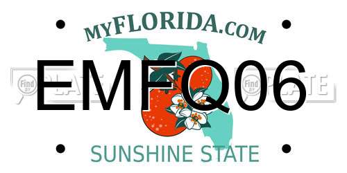EMFQ06 Florida License Plate