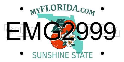 EMG2999 Florida License Plate