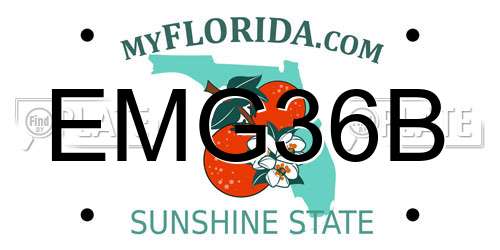 EMG36B Florida License Plate