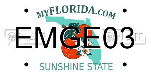 EMGE03 Florida License Plate