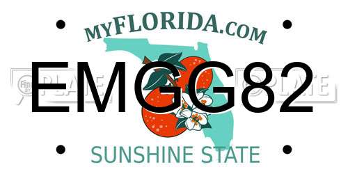 EMGG82 Florida License Plate