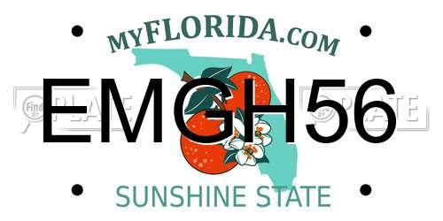 EMGH56 Florida License Plate