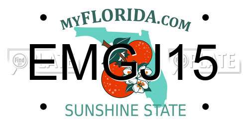 EMGJ15 Florida License Plate