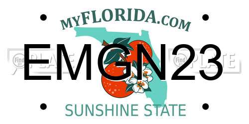EMGN23 Florida License Plate