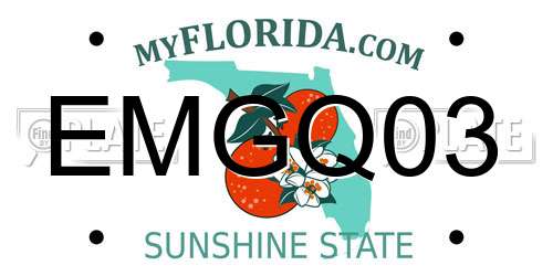 EMGQ03 Florida License Plate
