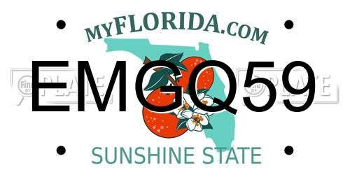 EMGQ59 Florida License Plate