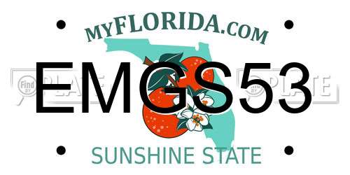 EMGS53 Florida License Plate