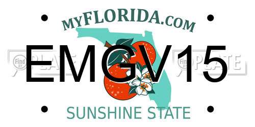 EMGV15 Florida License Plate