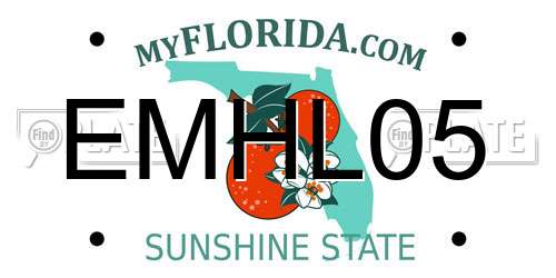 EMHL05 Florida License Plate