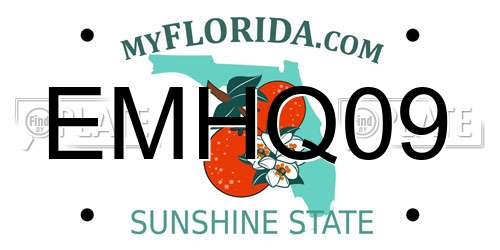 EMHQ09 Florida License Plate