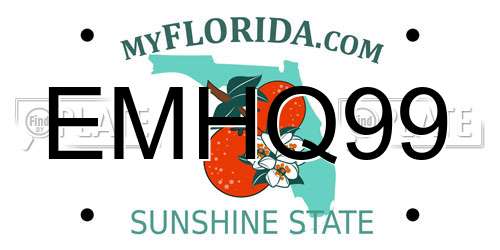 EMHQ99 Florida License Plate