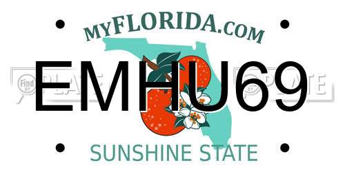 EMHU69 Florida License Plate