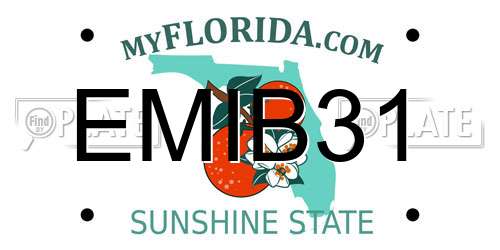 EMIB31 Florida License Plate