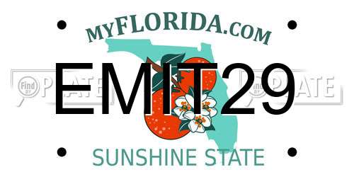 EMIT29 Florida License Plate