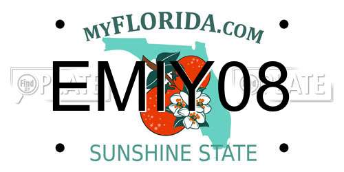 EMIY08 Florida License Plate