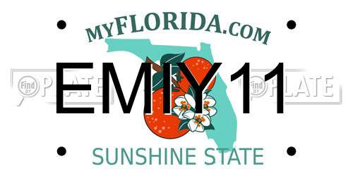 EMIY11 Florida License Plate