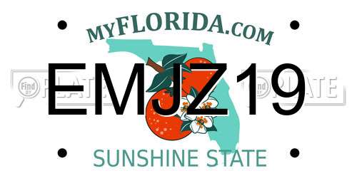 EMJZ19 Florida License Plate
