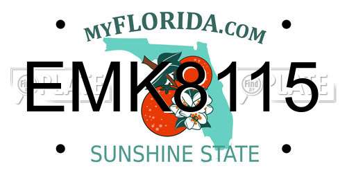 EMK8115 Florida License Plate