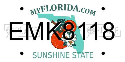 EMK8118 Florida License Plate