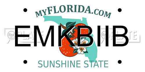 EMKBIIB Florida License Plate