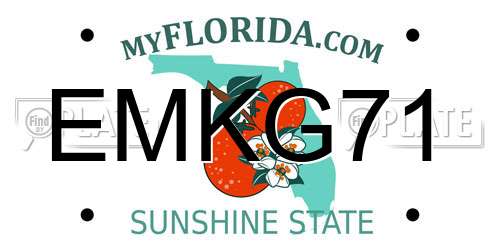 EMKG71 Florida License Plate