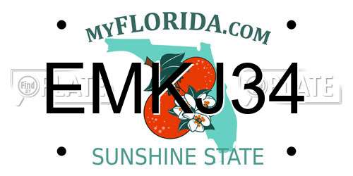 EMKJ34 Florida License Plate