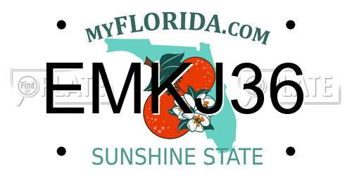 EMKJ36 Florida License Plate