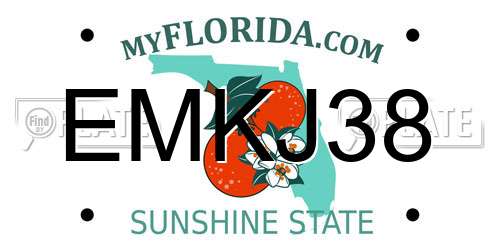 EMKJ38 Florida License Plate