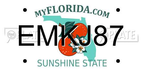 EMKJ87 Florida License Plate