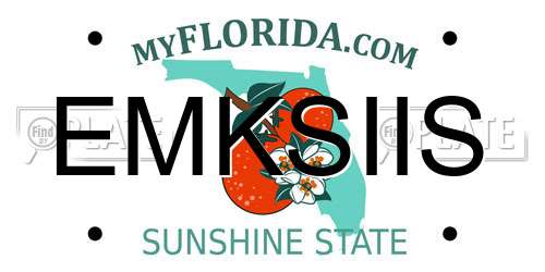 EMKSIIS Florida License Plate