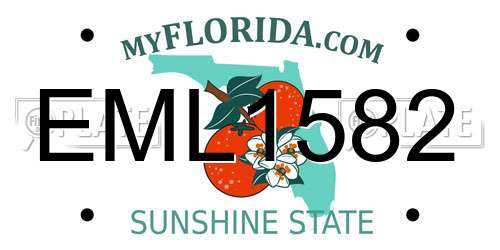 EML1582 Florida License Plate