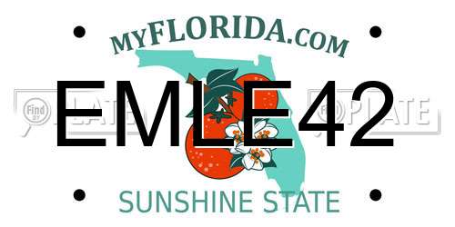 EMLE42 Florida License Plate