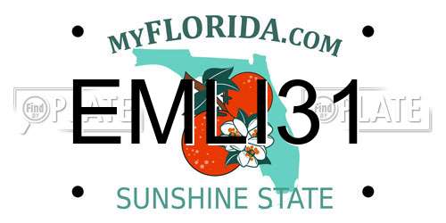 EMLI31 Florida License Plate