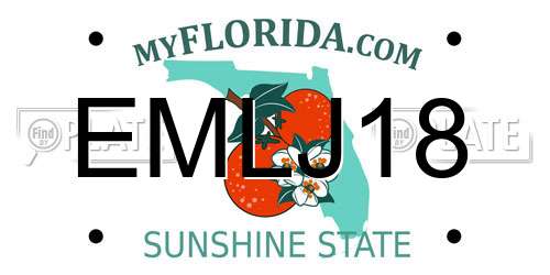 EMLJ18 Florida License Plate
