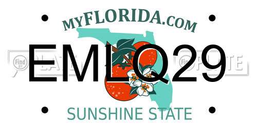 EMLQ29 Florida License Plate
