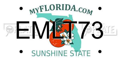 EMLT73 Florida License Plate