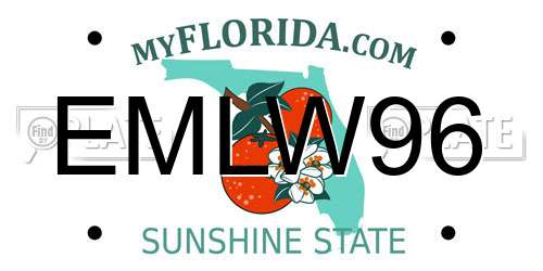 EMLW96 Florida License Plate