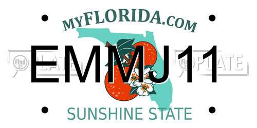 EMMJ11 Florida License Plate
