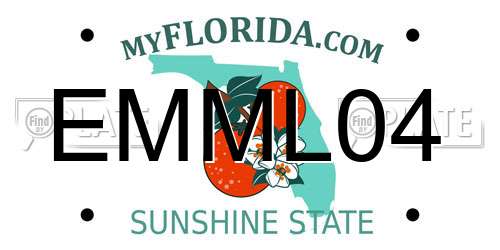 EMML04 Florida License Plate