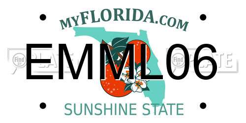 EMML06 Florida License Plate